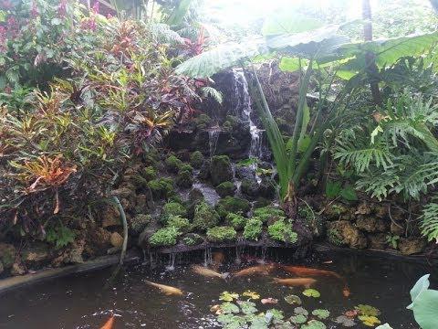 botanická zahrada saint peterburg cena